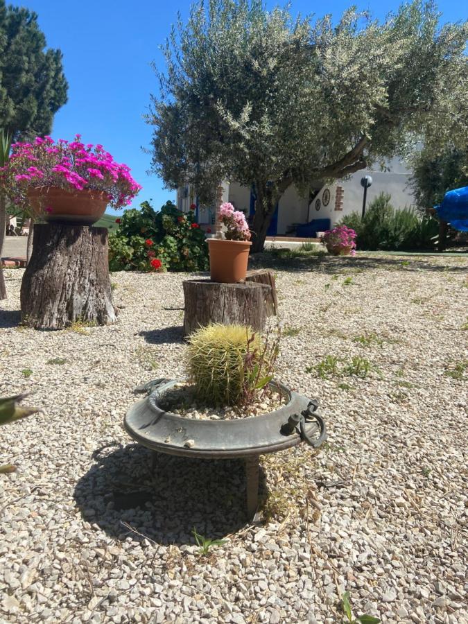 La casa di Gioggiò Apartamento Ioppolo Giancaxio Exterior foto